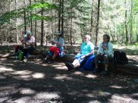 Eschweilerwaldrunde035 Eschweilerwaldrunde035