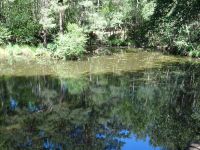 Eschweilerwaldrunde036 Eschweilerwaldrunde036