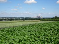 Eschweilerwaldrunde040 Eschweilerwaldrunde040