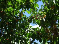 Eschweilerwaldrunde045 Eschweilerwaldrunde045