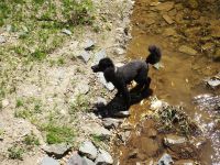 Eschweilerwaldrunde047 Eschweilerwaldrunde047