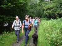 Blankenberg015 Blankenberg015