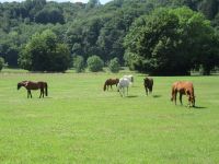 Blankenberg021 Blankenberg021