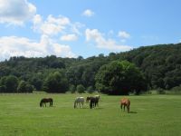 Blankenberg022 Blankenberg022