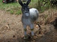 Blankenberg027 Blankenberg027