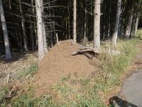 Münstereifelsteig016 Münstereifelsteig016