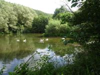 Münstereifelsteig025 Münstereifelsteig025