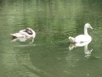 Münstereifelsteig026 Münstereifelsteig026