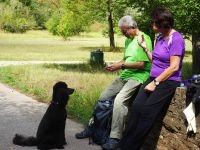 Münstereifelsteig028 Münstereifelsteig028