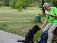 Münstereifelsteig030 Münstereifelsteig030