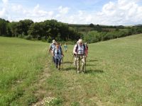 Münstereifelsteig041 Münstereifelsteig041