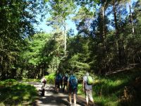 Hergarten003 Hergarten003