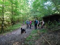 Hergarten008 Hergarten008