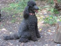 Hergarten010 Hergarten010