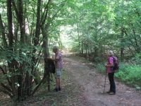 Hergarten011 Hergarten011