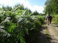 Hergarten012 Hergarten012