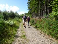 Hergarten013 Hergarten013