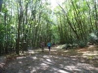 Hergarten019 Hergarten019