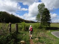 Hergarten021 Hergarten021