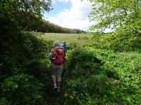 Hergarten022 Hergarten022