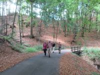 Hergarten031 Hergarten031