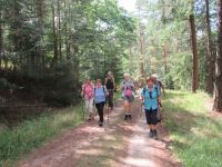 Hergarten035 Hergarten035