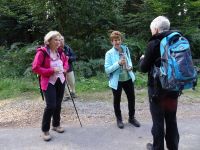 Monschauerforst004 Monschauerforst004