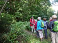 Monschauerforst010 Monschauerforst010