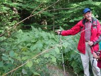 Monschauerforst011 Monschauerforst011