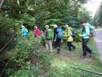 Monschauerforst012 Monschauerforst012