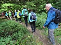 Monschauerforst013 Monschauerforst013