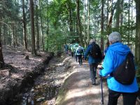 Monschauerforst014 Monschauerforst014