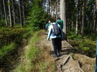 Monschauerforst015 Monschauerforst015