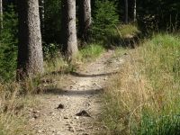 Monschauerforst017 Monschauerforst017