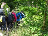 Monschauerforst018 Monschauerforst018