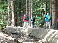 Monschauerforst019 Monschauerforst019