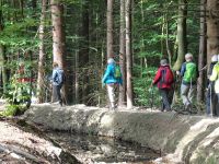 Monschauerforst020 Monschauerforst020