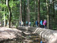 Monschauerforst021 Monschauerforst021