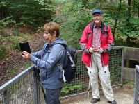 Monschauerforst022 Monschauerforst022