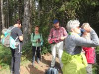 Monschauerforst023 Monschauerforst023