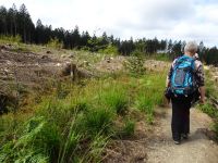 Monschauerforst024 Monschauerforst024