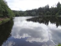 Monschauerforst028 Monschauerforst028