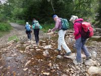 Monschauerforst031 Monschauerforst031