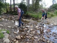 Monschauerforst035 Monschauerforst035