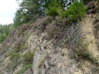 Monschauerforst037 Monschauerforst037