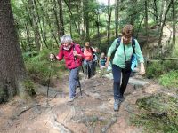 Monschauerforst041 Monschauerforst041