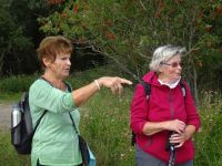 Monschauerforst050 Monschauerforst050