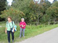 Monschauerforst051 Monschauerforst051