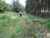 Monschauerforst053 Monschauerforst053