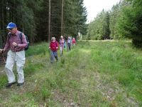 Monschauerforst054 Monschauerforst054